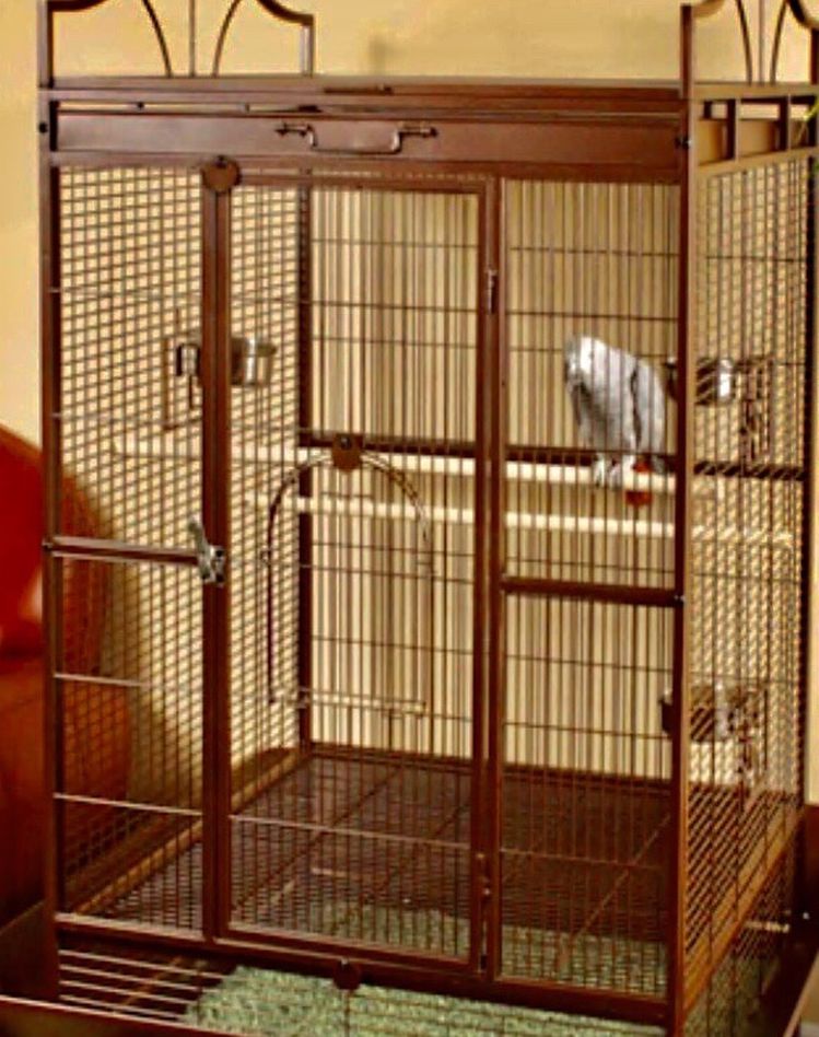 Standing Parrot Cage