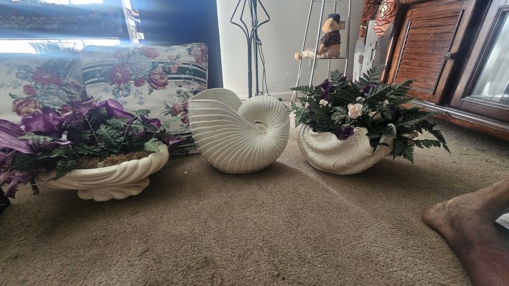 shells