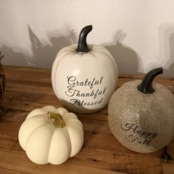 Brand New Fall Pumpkin Décor Set – 3 Pieces