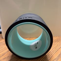 Chirp Wheel 6” 
