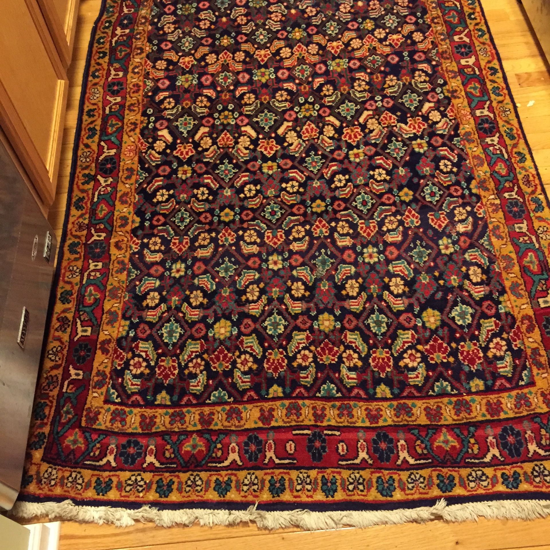 Gorgeous genuine persian rug Hamadan mahali runner