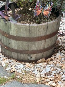 Large barrel Planters
