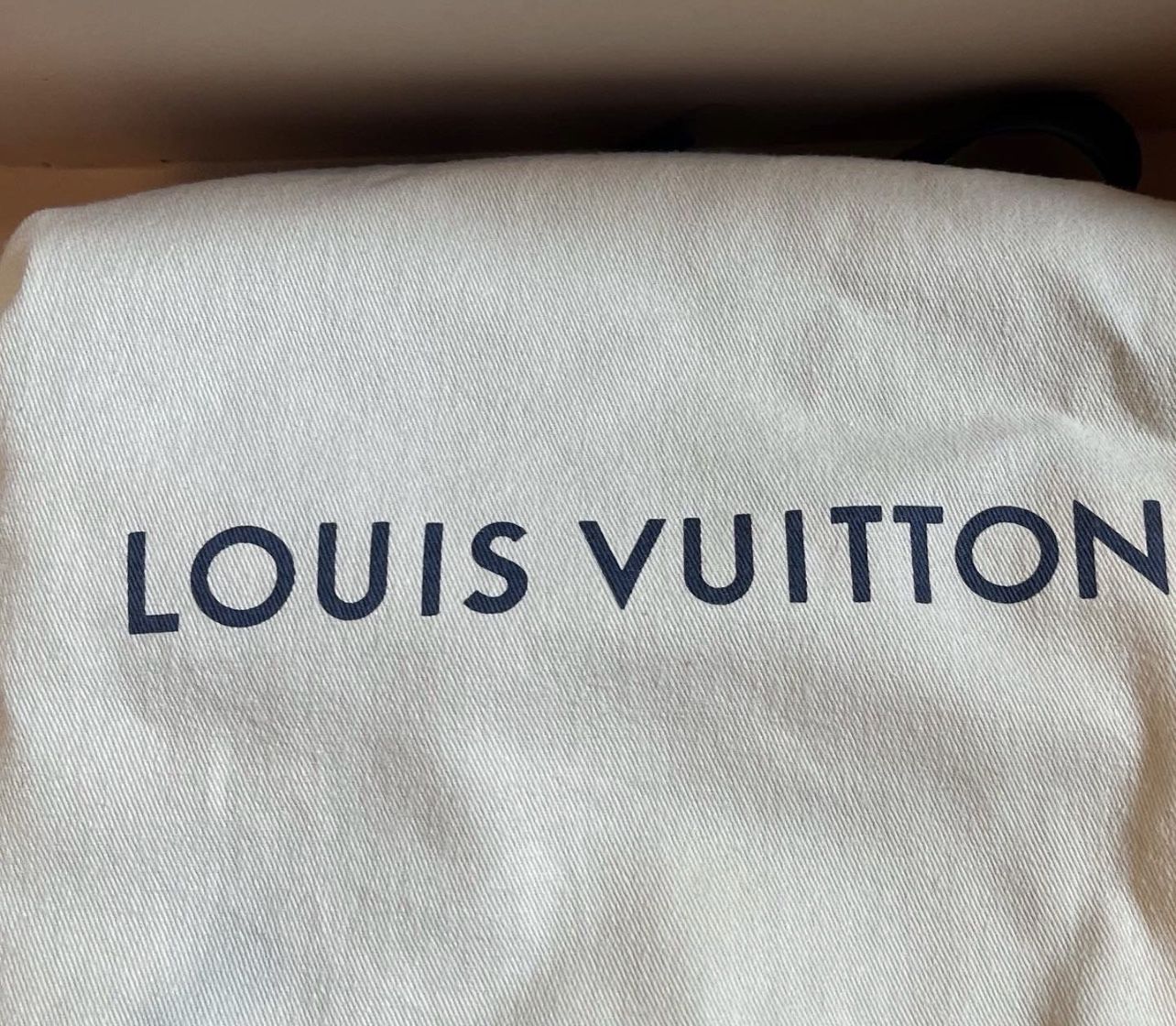 JUST IN🤩 This Louis Vuitton Pochette Metis comes with box, bag, and duster  for $2,398