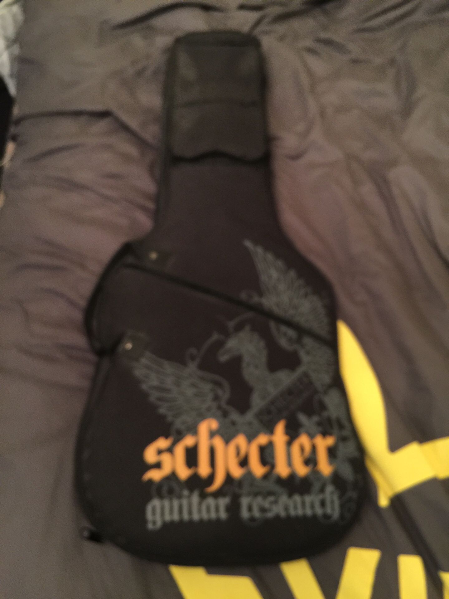 Schecter guitar bag - $60