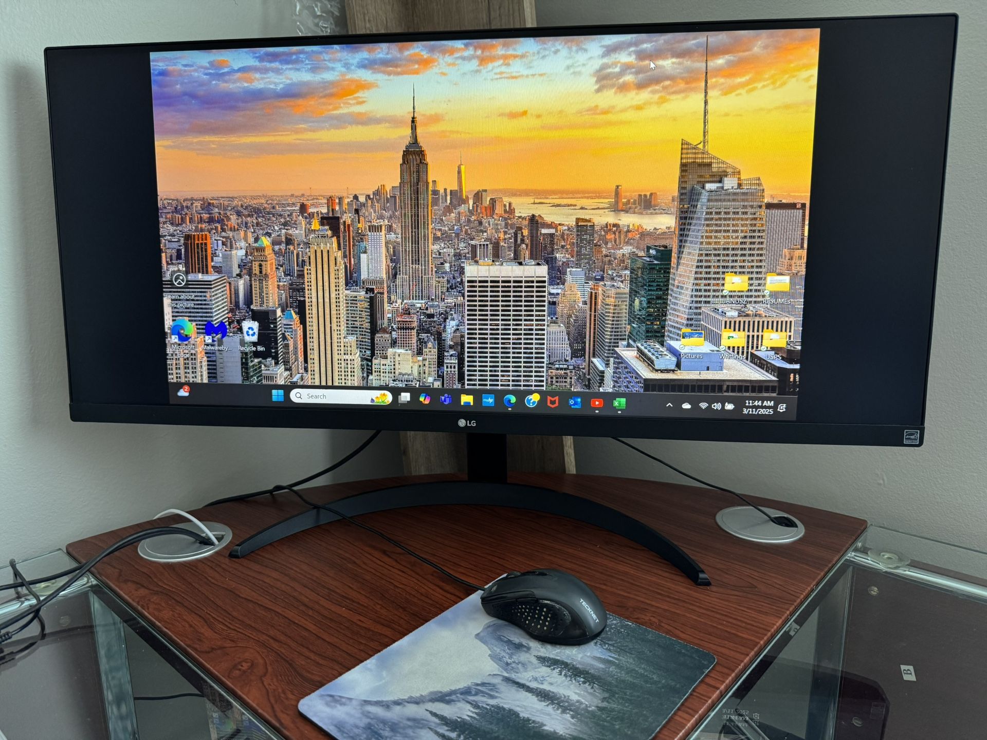 LG Monitor