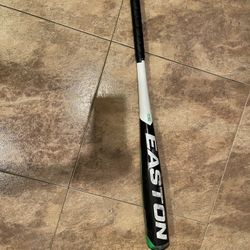 Easton 31 Inch Baseball Bat (used) 