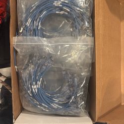 Lot Of Cat5