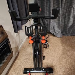 Schwinn Spin Bike