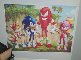 SONIC THE HEDGEHOG FABRIC CLOTHING ART POSTER 5'X3' $15.00