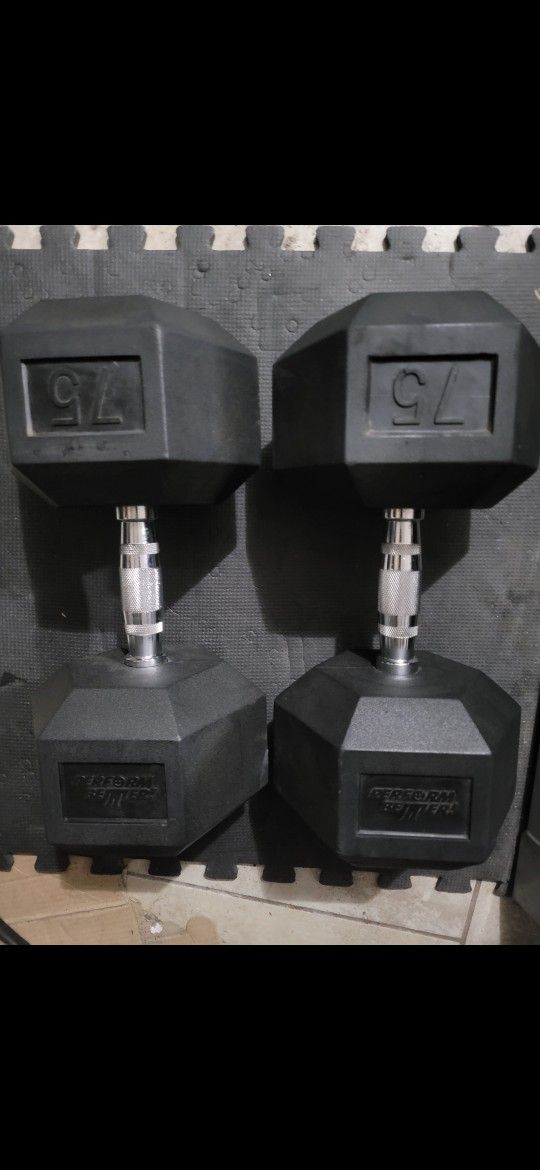 75lbs Dumbells Weights