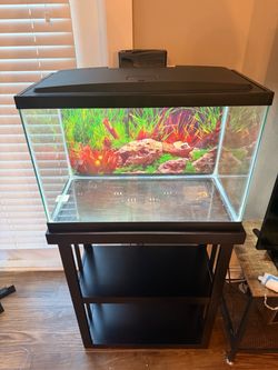Fish Tank
