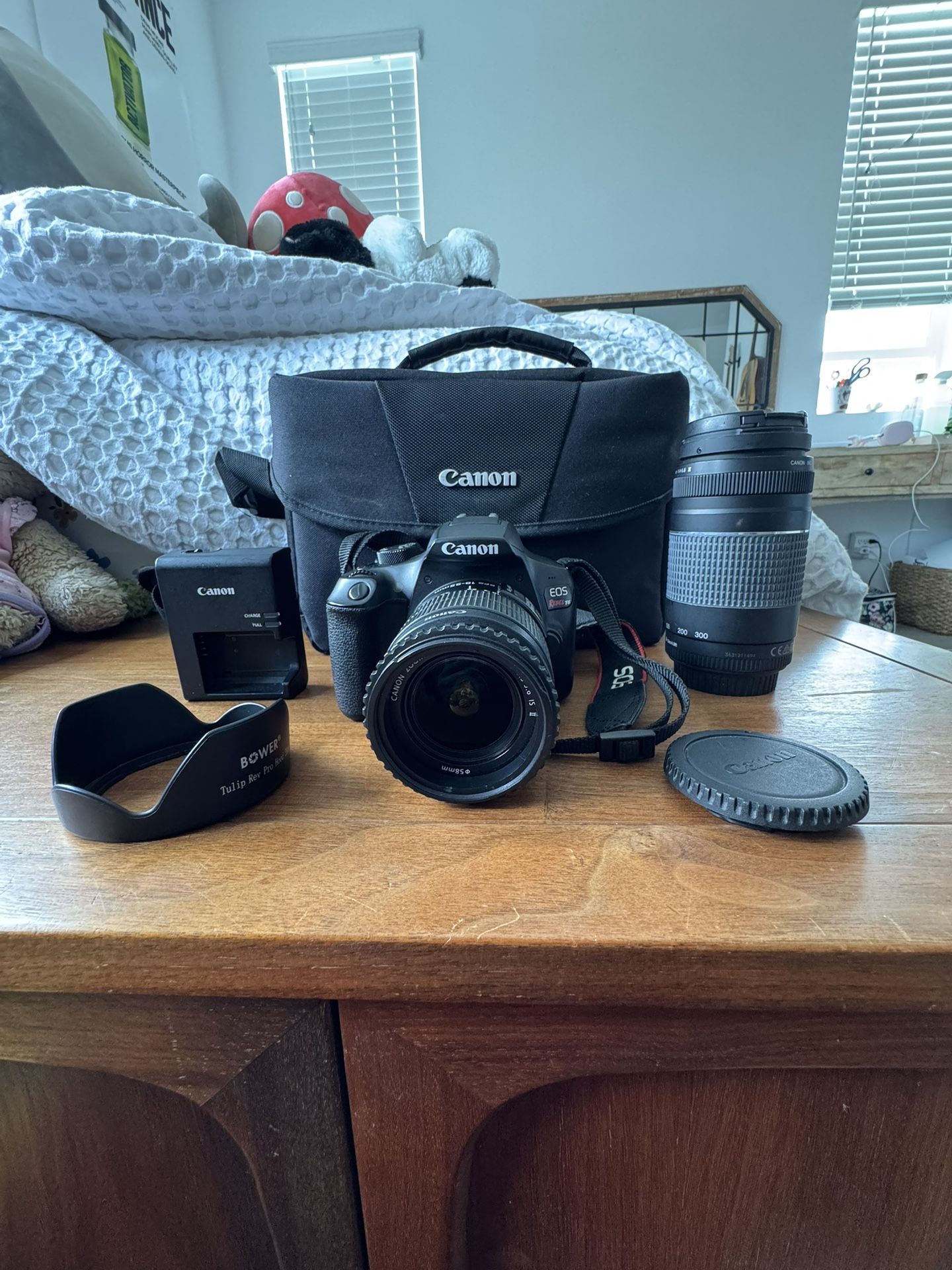 Canon Rebel T6 Camera Set
