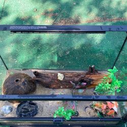 snake tarantula lizard tank with accessories 