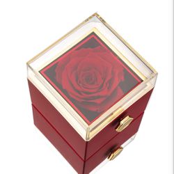 Eternal Rose Box w/silver infinity necklace and Real Rose