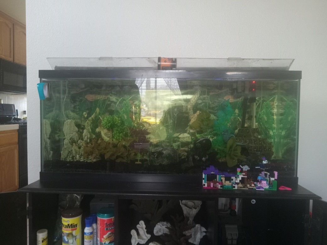 Fish Tank