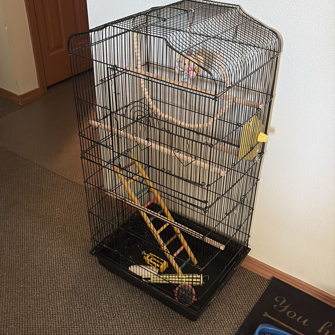 Bird cage