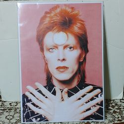 DAVID BOWIE PRINT (16" X 12") By LUCKY LANE (NIP) Please read description.