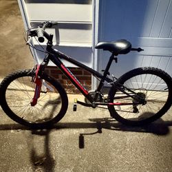 Nishiki Pueblo 24 “ Mountain Bike