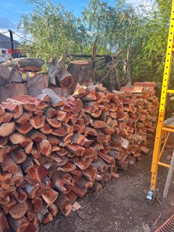 Firewood Logs