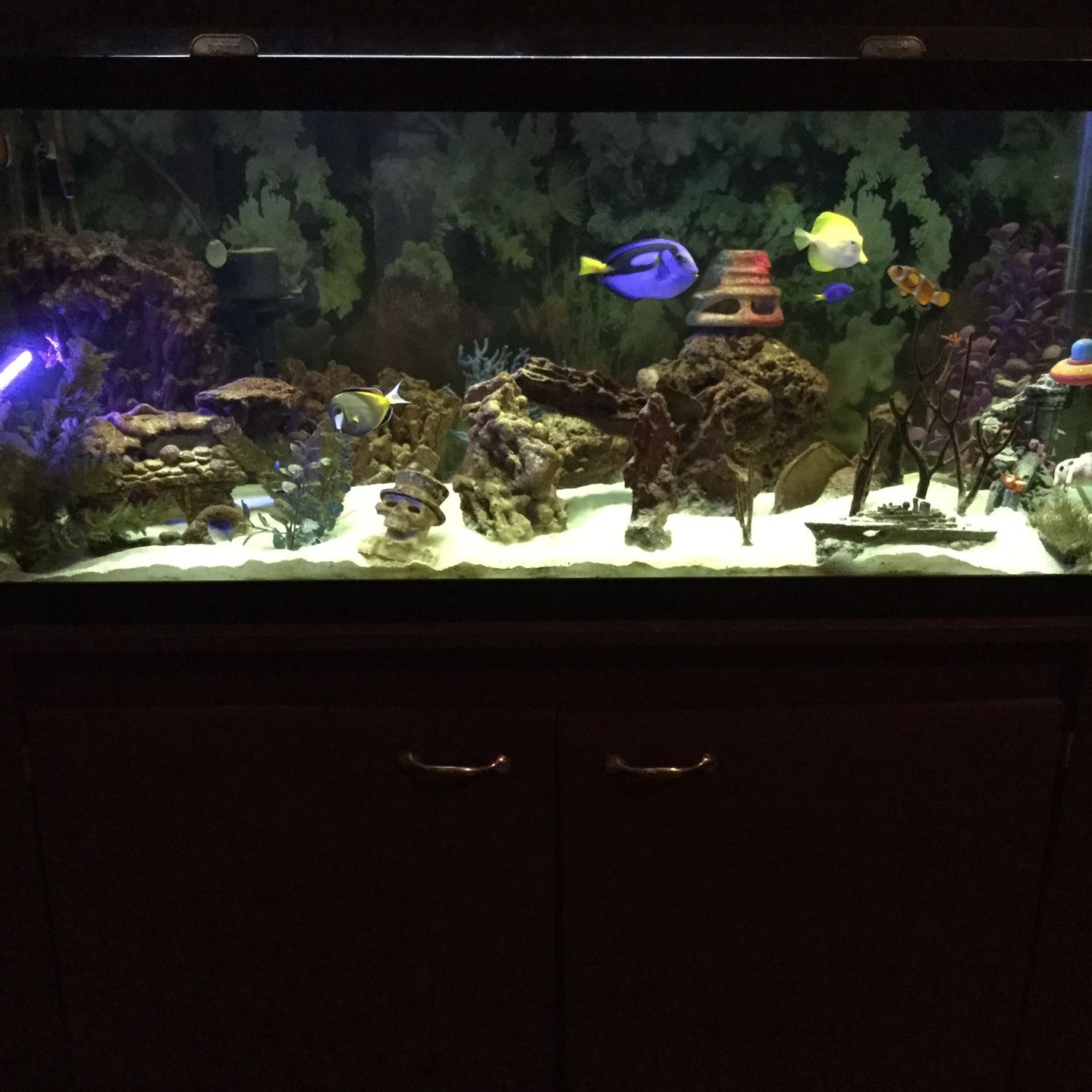 75 gallon Fish tank and stand