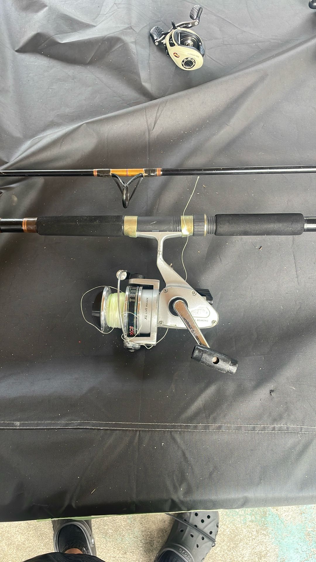 Saltwater Spinning Rod