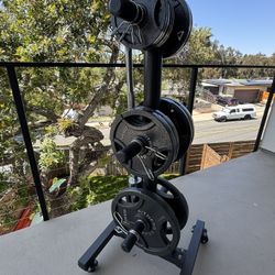 300 Lb. Olympic weight set with movable rack.