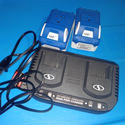 Snow Joe 24v  Dual charger kit with 2-24V BATTERIES 