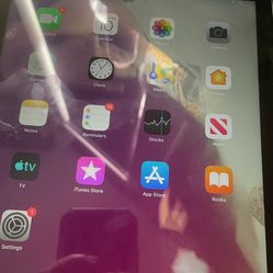 iPad