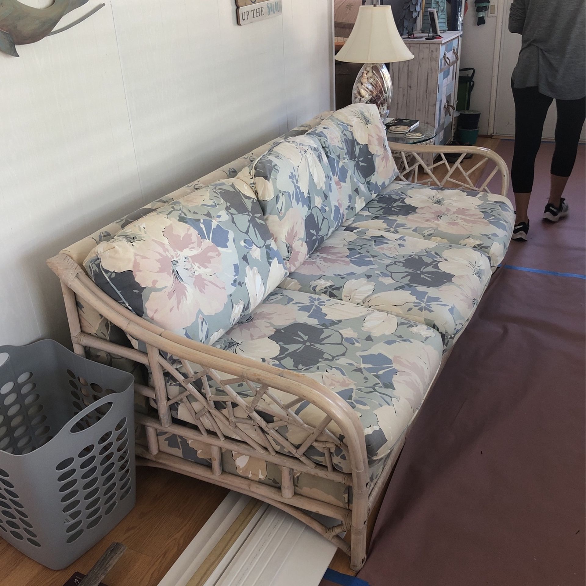 Sleeper Couch & Love Seat ( FREE )