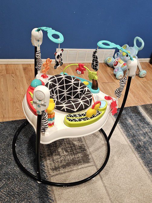 Fisher-Price Baby Bouncer 