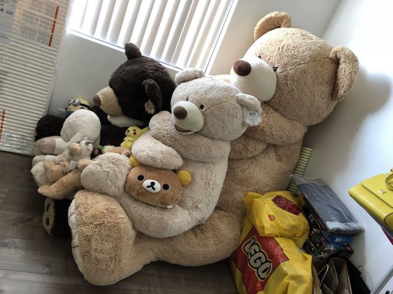 Costco bear plush toy 8ft (93inch)