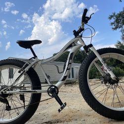 Fatboy bicycle store for sale