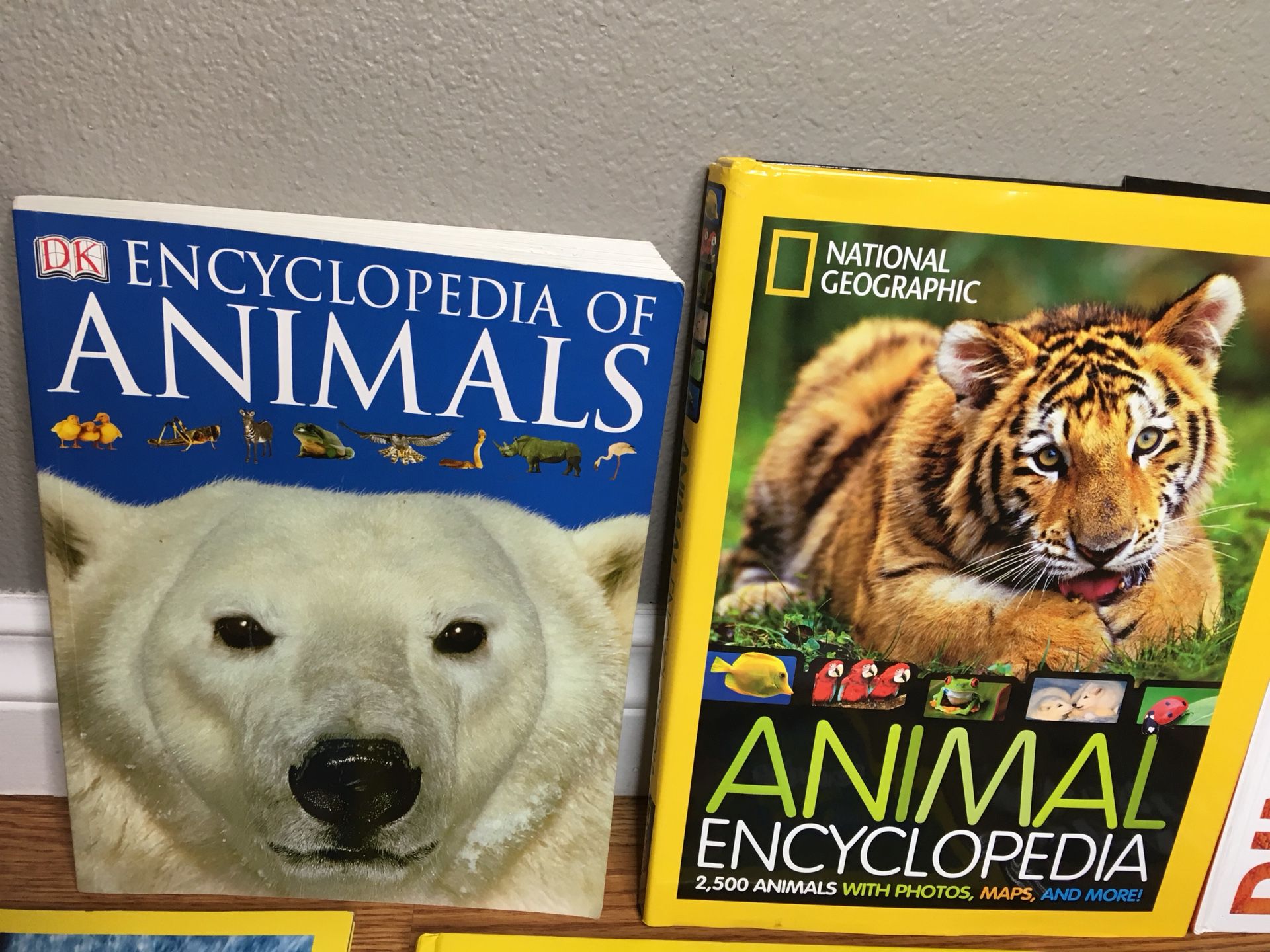 National Geographic Kids and DK Fact Books- Animal Encyclopedias learning  information for Sale in Puyallup, WA - OfferUp