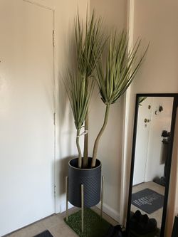 6’ Faux Plant w/ black & gold Stand