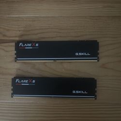 32GB DDR5 G SKILL RAM