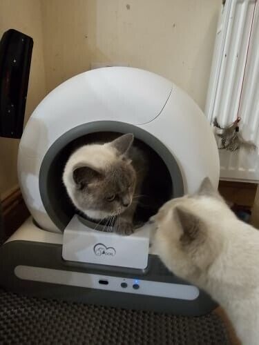 Automatic Cat Litter Box – Smart Self-Cleaning