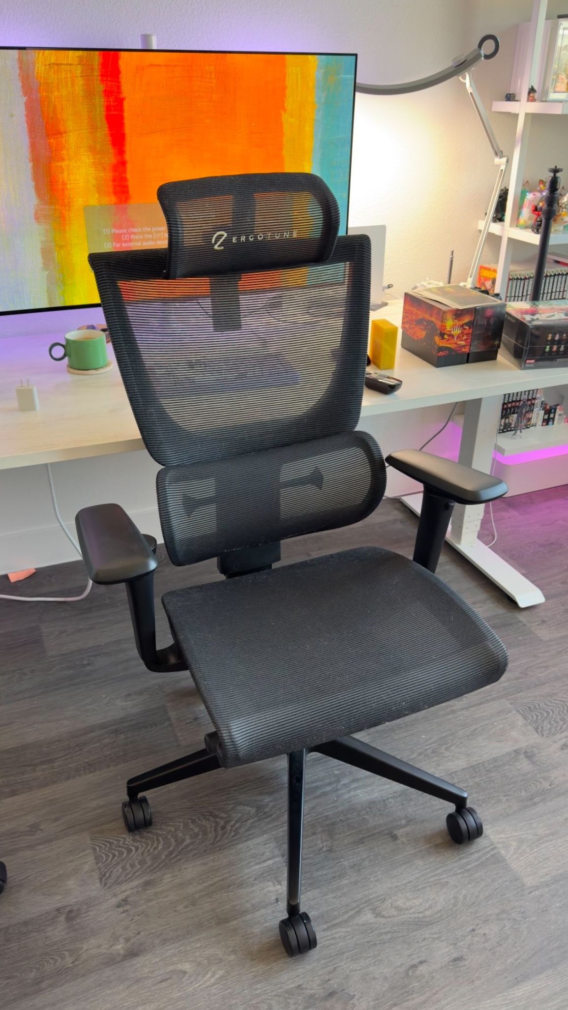 Ergotune Ergonomic Office Chair