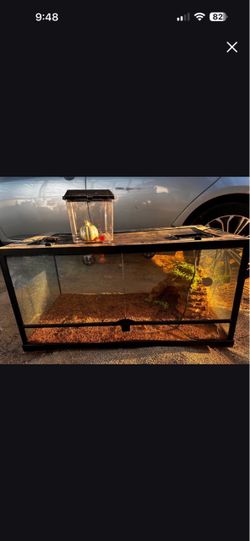 Reptile terrarium