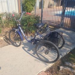 Elite FS Tri Coaster 3 Speed For SALE