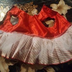 Ropa Para Pet Gatita O Perrita