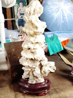 China scholar Stone