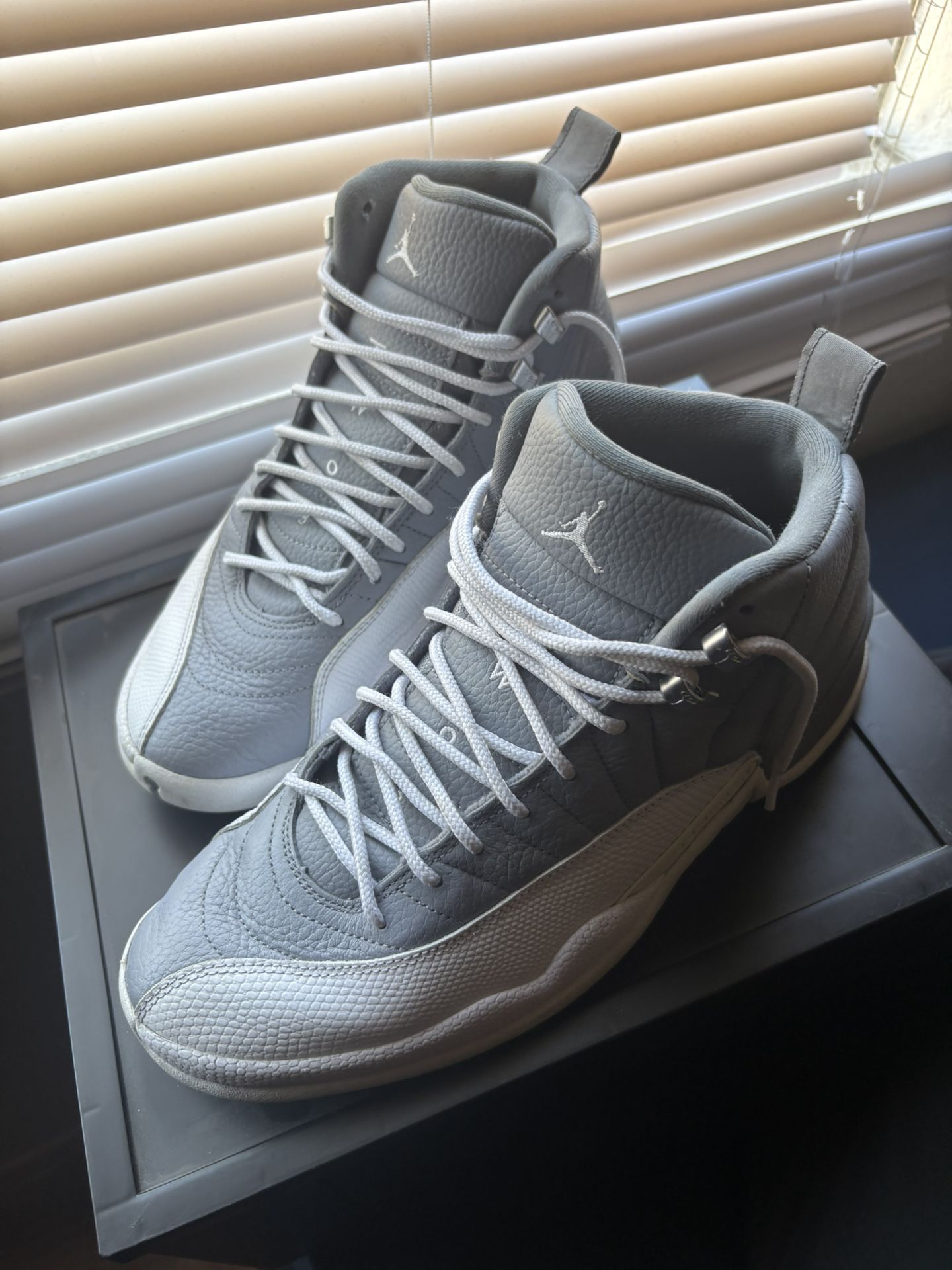 Jordan 12s