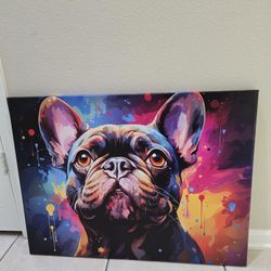French Bulldog Picture 
