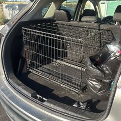 Dog Cage 