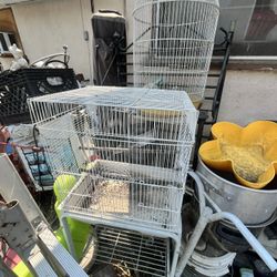 bird cages 
