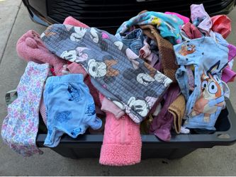 Bulk Lot of Baby and Toddler Clothes - Bluey, Minnie Mouse, and More