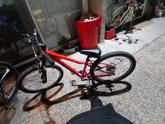 Mountain bike