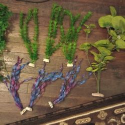 Aquarium Decorations