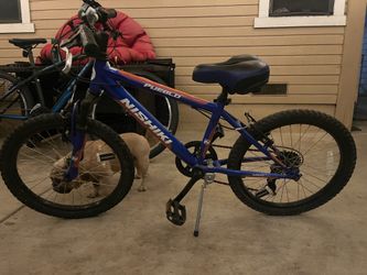 Nishiki Pueblo Youth 20’