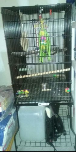 Midwest parrot cage on stand with wheels!